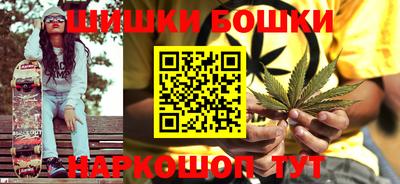 крисы Новозыбков